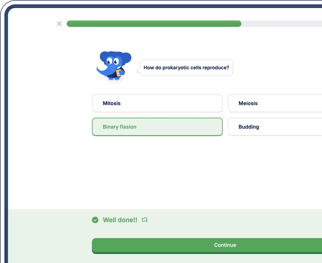 Schools Quizzes Showcase